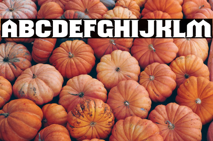 ShouldveKnown-Regular Example 2