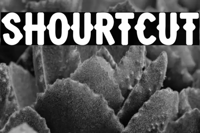 Shourtcut Font examples
