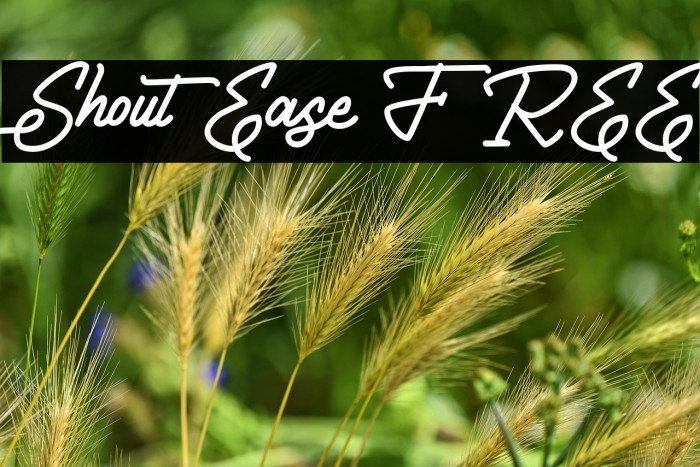 ShoutEase FREE Example 1