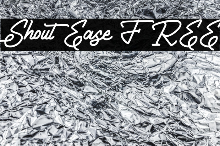 ShoutEase FREE Example 2