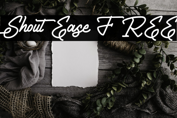 ShoutEase FREE Example 3