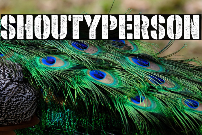 Shoutyperson Example 1