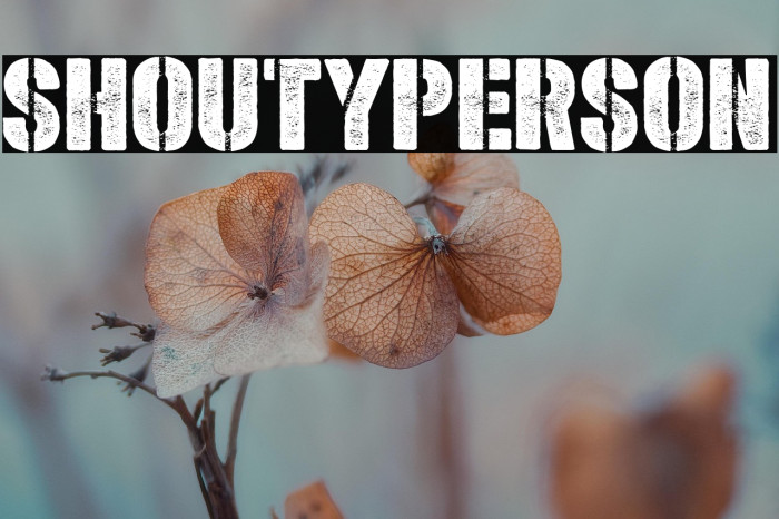 Shoutyperson Example 2