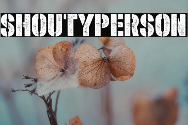Shoutyperson Example 2