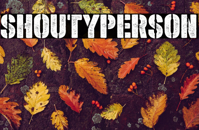 Shoutyperson Example 3