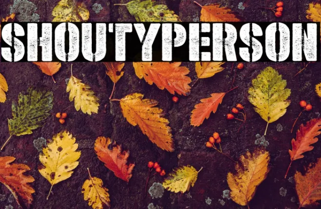 Shoutyperson Example 3