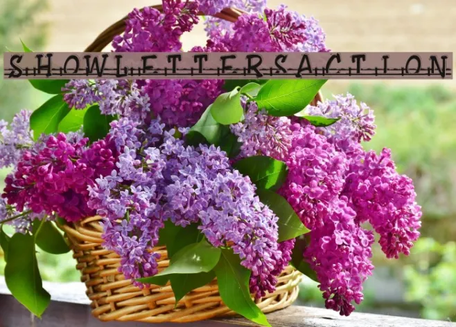 ShowLetters_Action Example 1