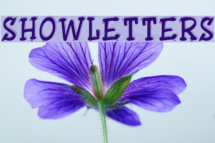 ShowLetters Font examples