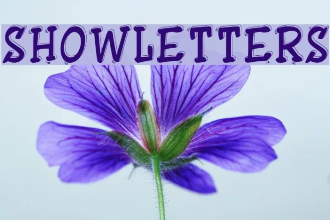 ShowLetters Example 1