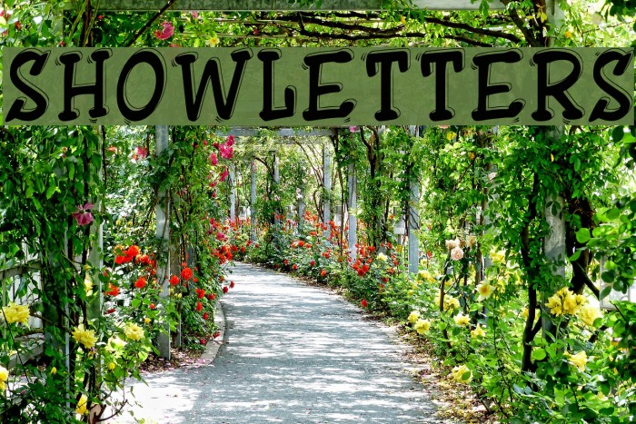 ShowLetters Font examples