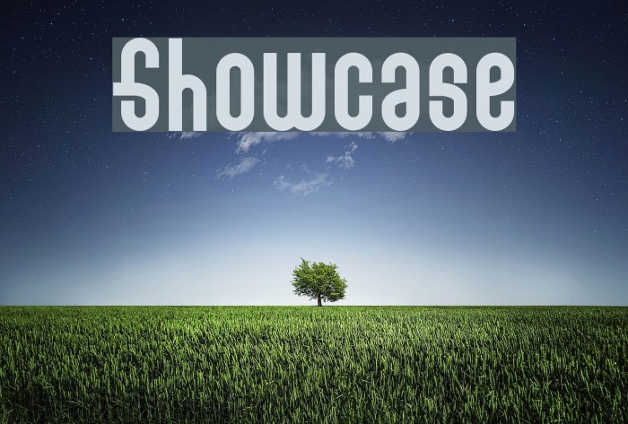 Showcase Font examples
