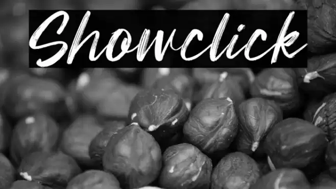 Showclick 字体 examples