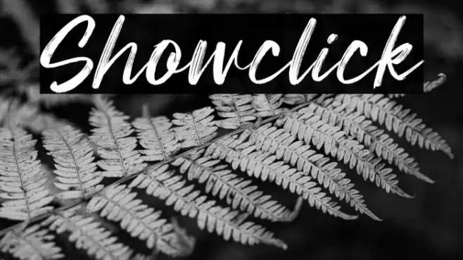 Showclick 字体 examples