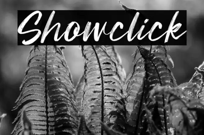 Showclick 字体 examples