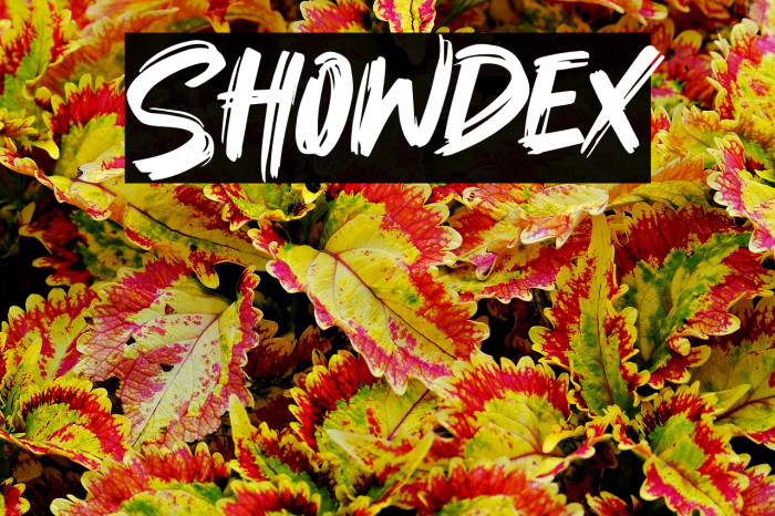 Showdex Example 3