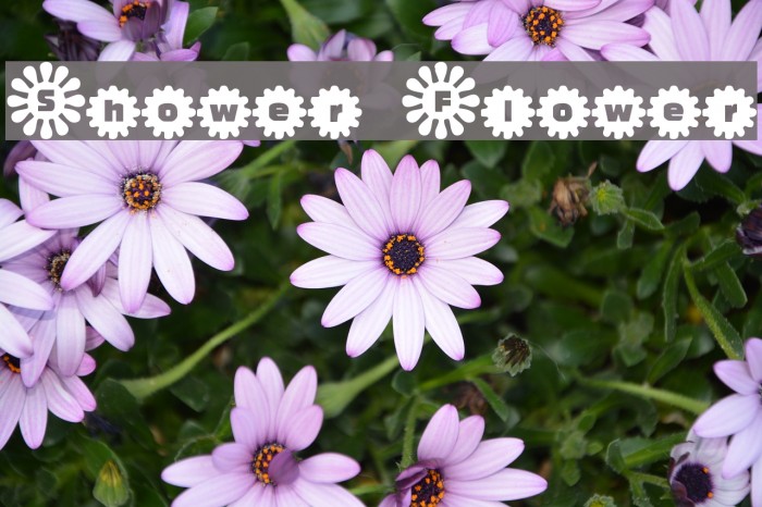 Shower Flower Font examples
