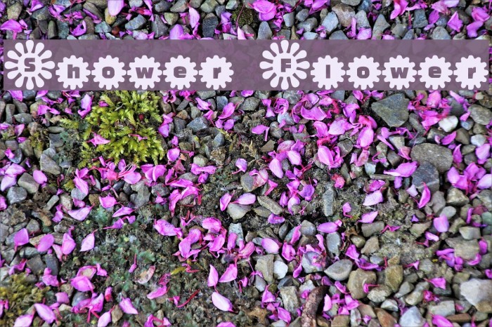 Shower Flower Font examples