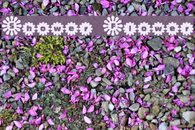 Shower Flower Example 2