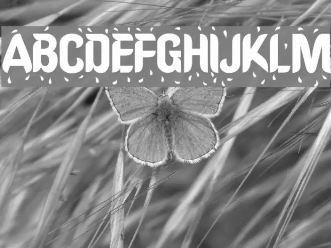 Shower Polices examples