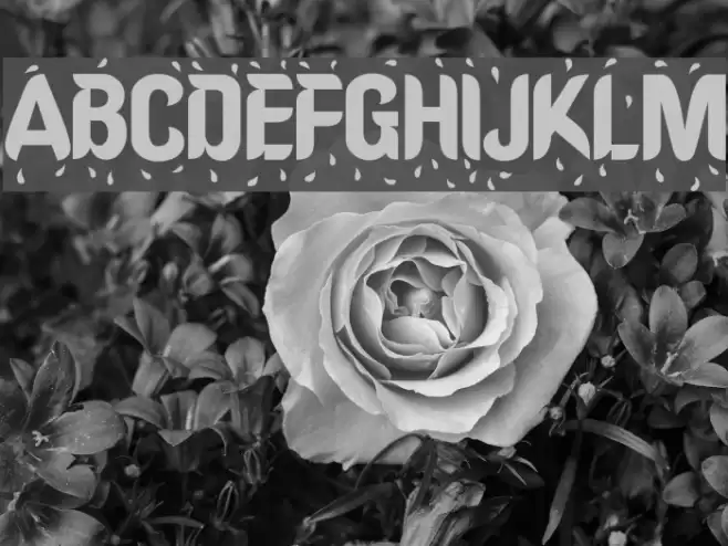 Shower Polices examples