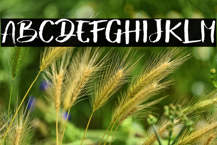 ShowetyBrush Example 2