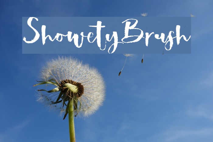 ShowetyBrush Font examples