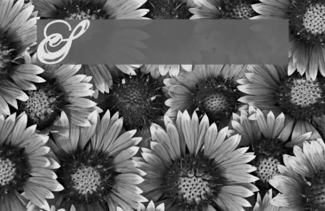 Showmen Font examples