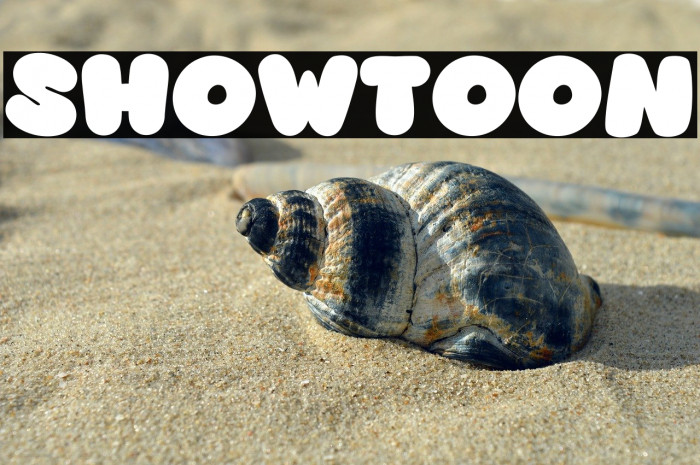 Showtoon Example 2