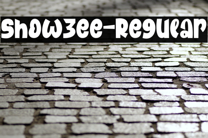 Showzee-Regular Example 2