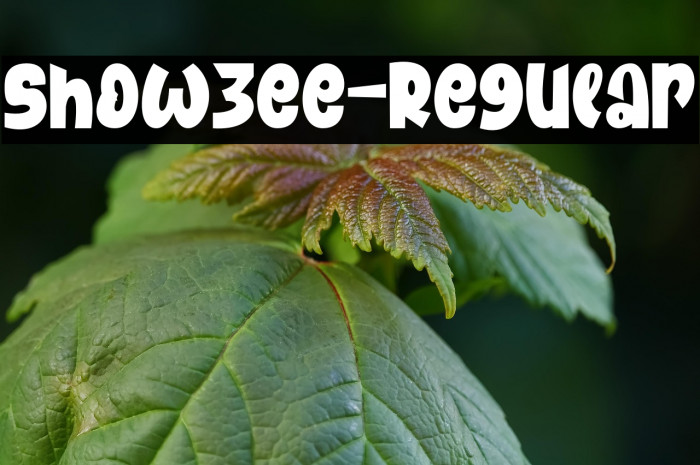 Showzee-Regular Example 3