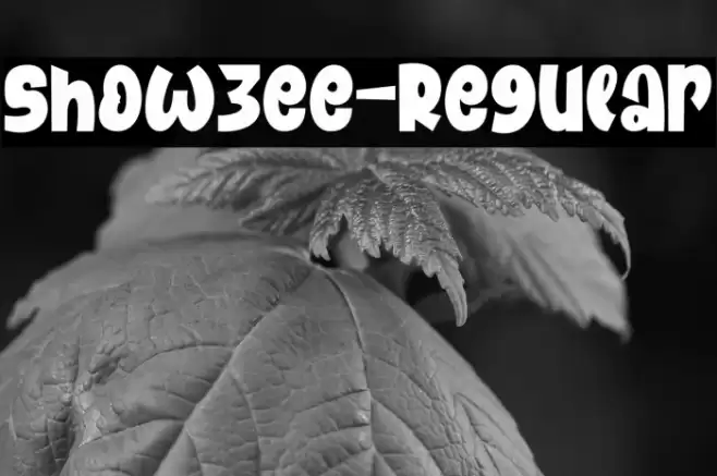 Showzee-Regular Font examples