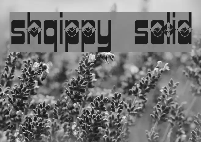 Shqippy Solid Font examples