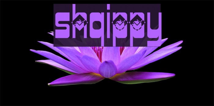Shqippy Font examples