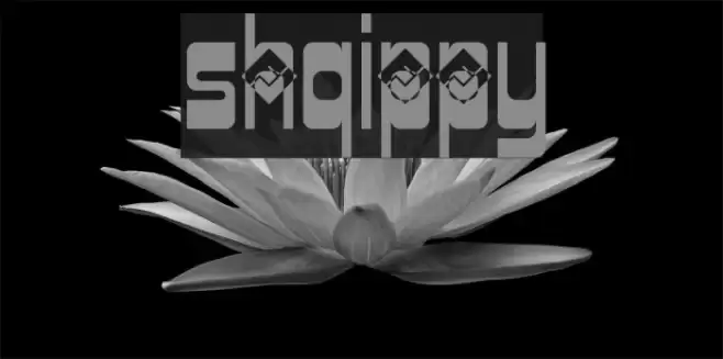 Shqippy Polices examples