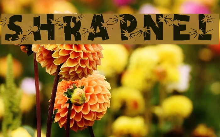 Shrapnel Font examples