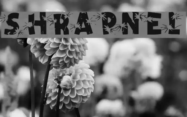 Shrapnel フォント examples