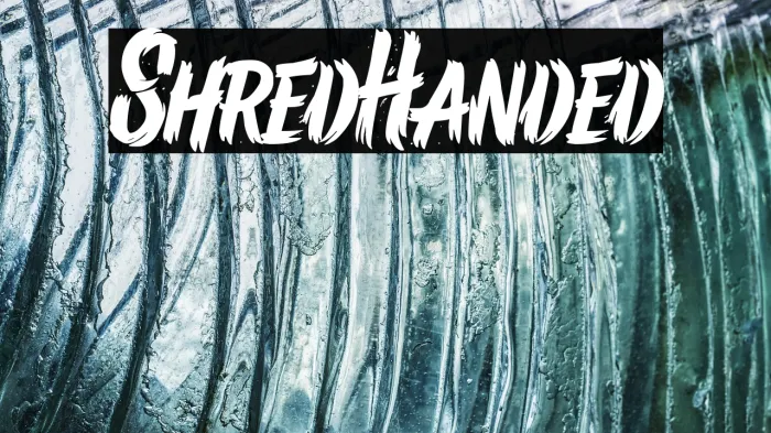 Shred Handed Example 3