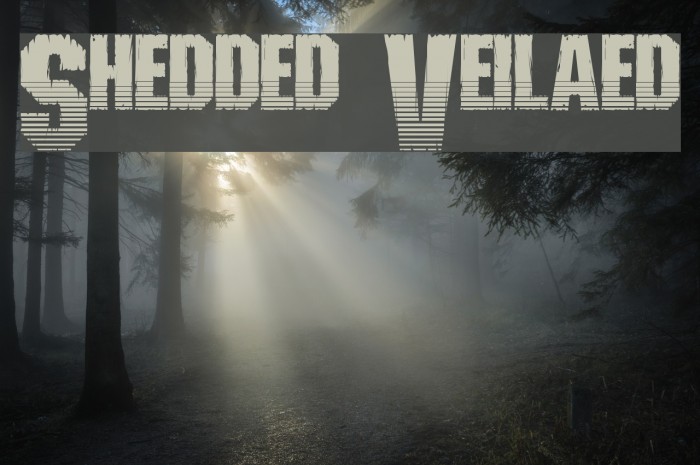 Shredded Ventilated Font examples