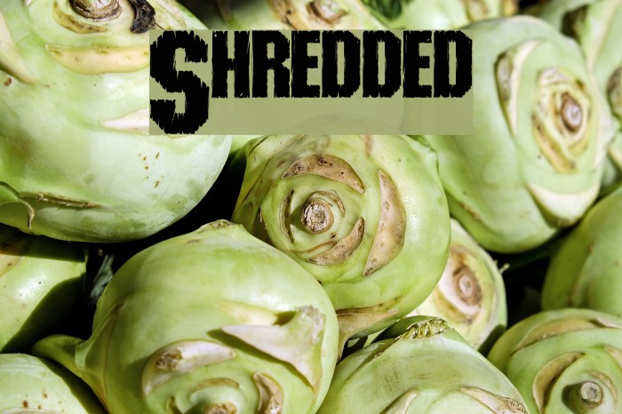 Shredded Font examples