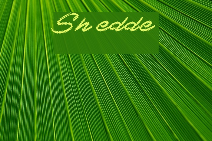 Shredder Schriftart examples