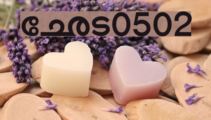 Shree-Mal-0502 Font examples