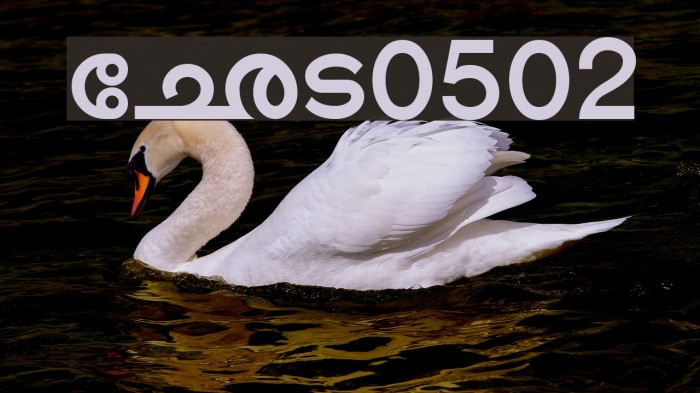 Shree-Mal-0502 Font examples