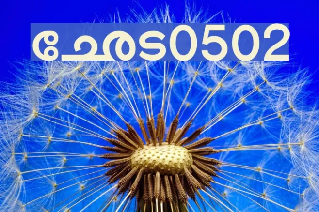 Shree-Mal-0502 Example 3
