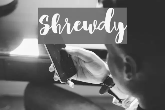 Shrewdy Font examples