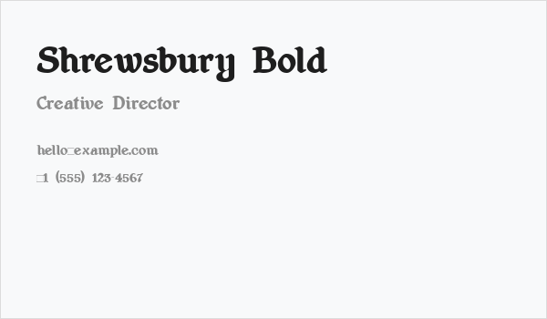 Shrewsbury Bold Business Card