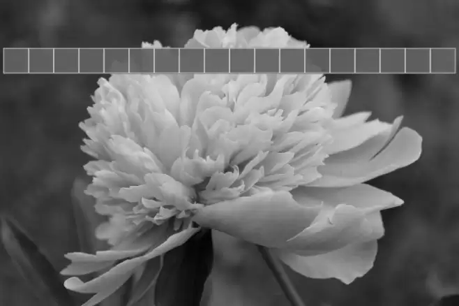 Shrewsbury-Titling Font examples