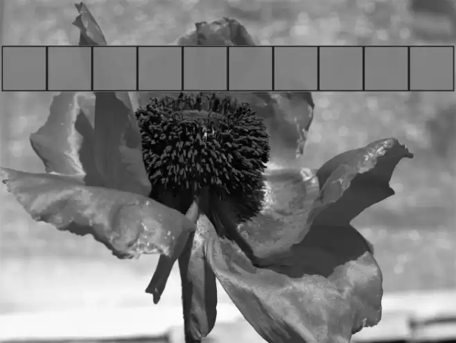 Shrewsbury Font examples