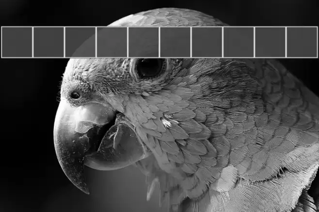 Shrewsbury Font examples