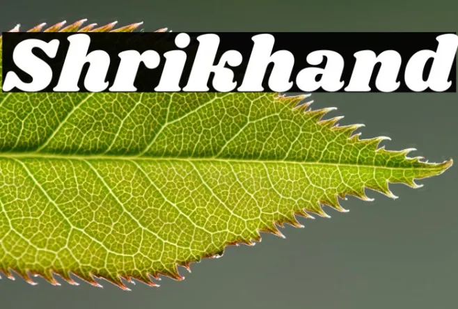 Shrikhand Example 2