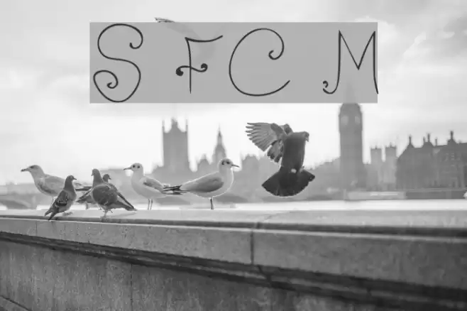 Shrimp FancyCaps Medium Font examples